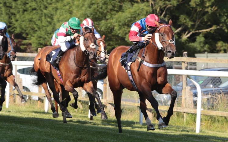 Horses race to the finish in the first race of the evening at Brighton Racecourse 