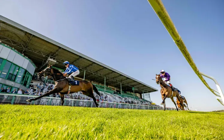 Horses racing in front of the packed grandstand at Brighton